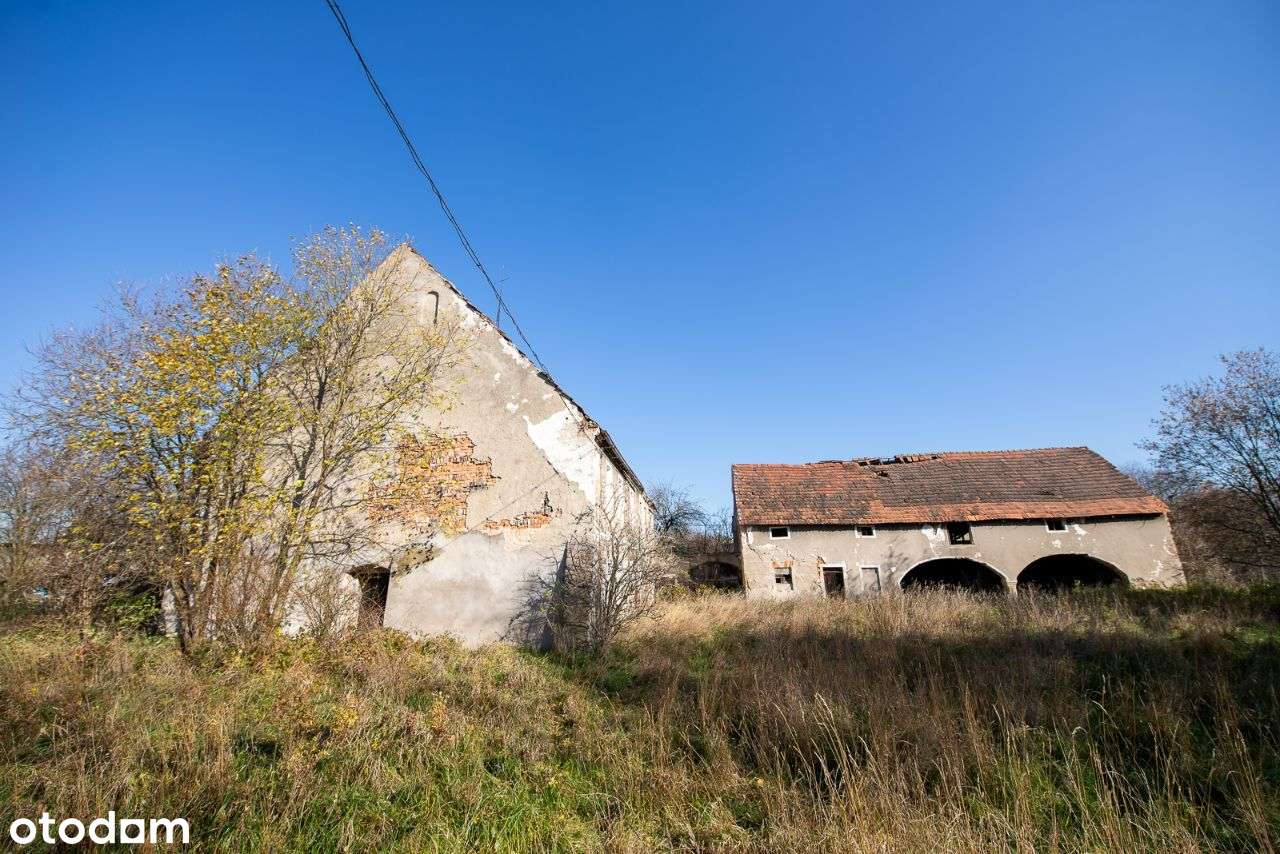 Długopole Górne - Dom i działka 1 ha-6