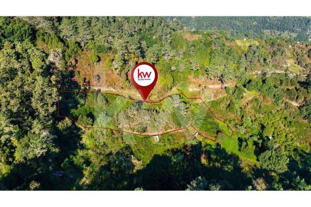 TERRENO COM 2980 M2 - SANTANA - ILHA - Grande imagem: 4/15