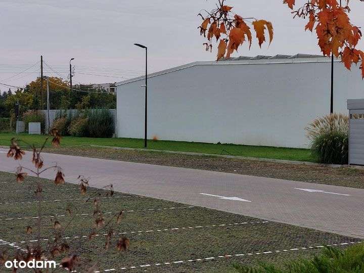 Hala sprzedaż Warszawa Targówek magazyn, chłodnia-5