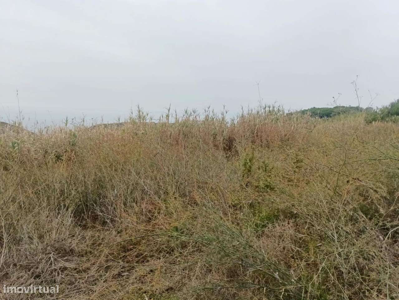 Terreno rústico, para venda, Sintra - Colares - Grande imagem: 2/5
