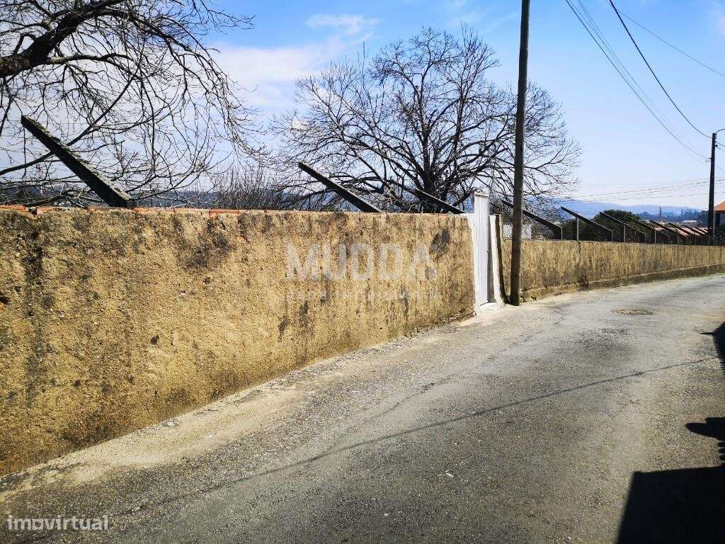 Terreno C/ 35m de Frente Com Viabilidade de Construção - Grande imagem: 4/12