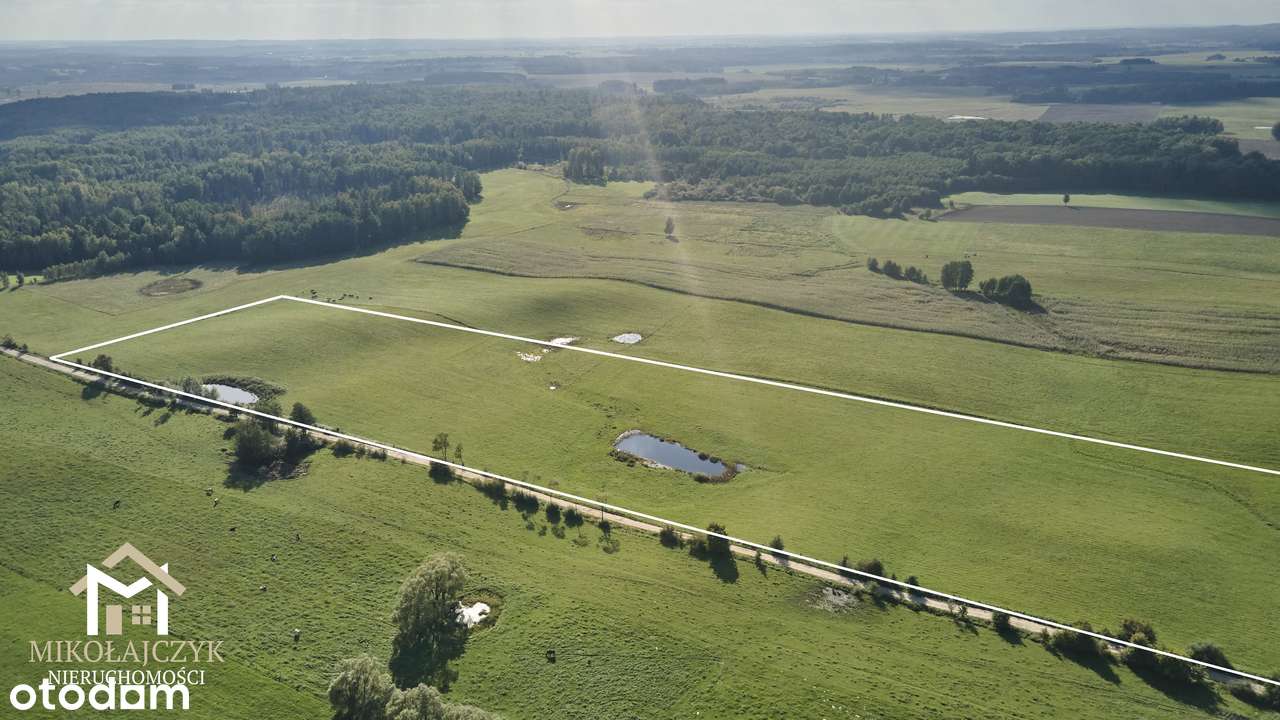 Działka rolna 9 ha / Rodnowo - Pełny obrazek: 4/6