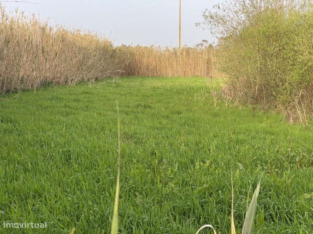 Terreno rustico à venda em Famalicão, Nazaré-0