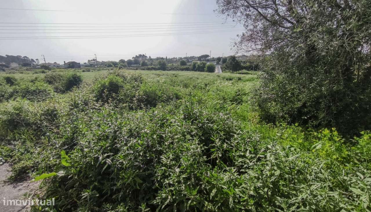 Venda de Terreno agrícola em Vila Fria, Viana do Castelo - Grande imagem: 3/24