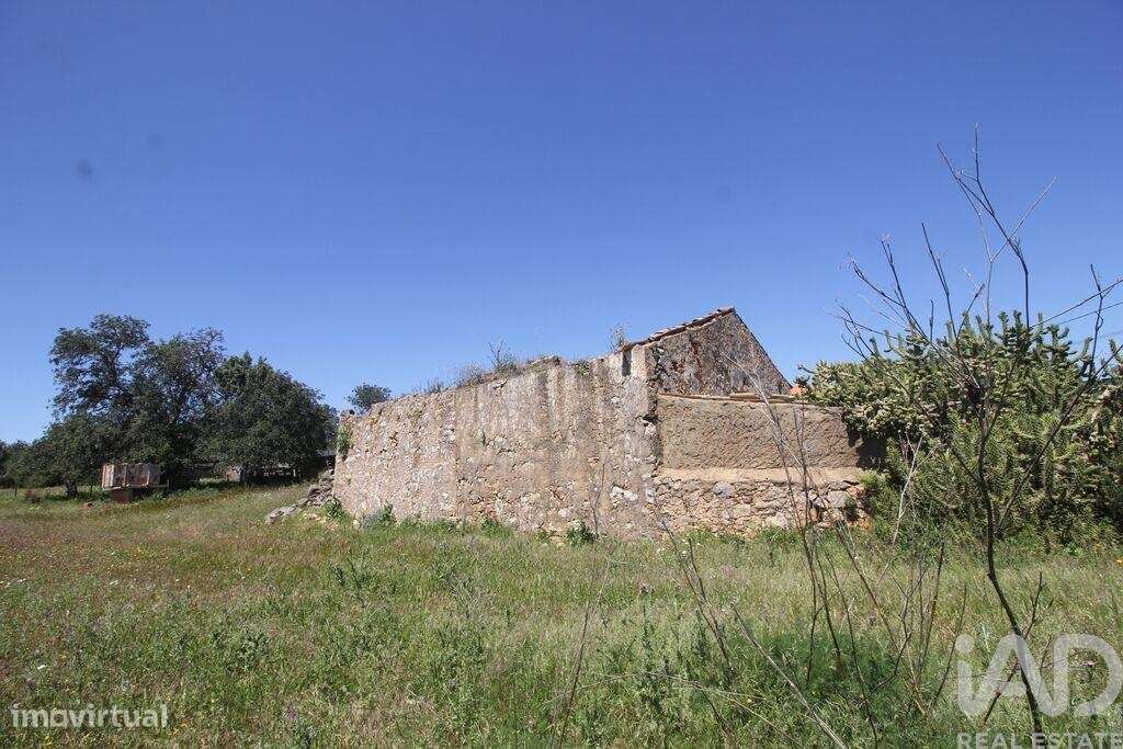 Terreno em Ferreiras de 240,00 m2 - Grande imagem: 5/29