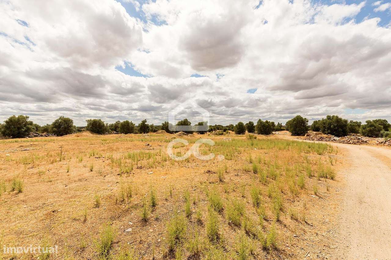 Terreno com 36 500 m2 para construção | Reguengos de Monsaraz - Grande imagem: 5/15