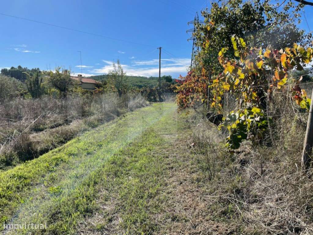 Terreno Agrícola Sustentável com Certificação Biológica em Orjais, ...-9