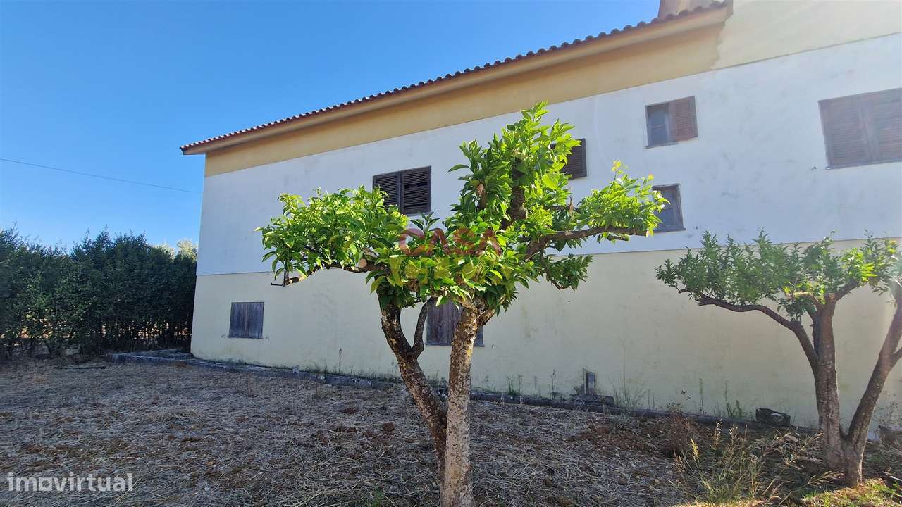 Moradia T6 Venda em Alcanena e Vila Moreira,Alcanena - Grande imagem: 3/60