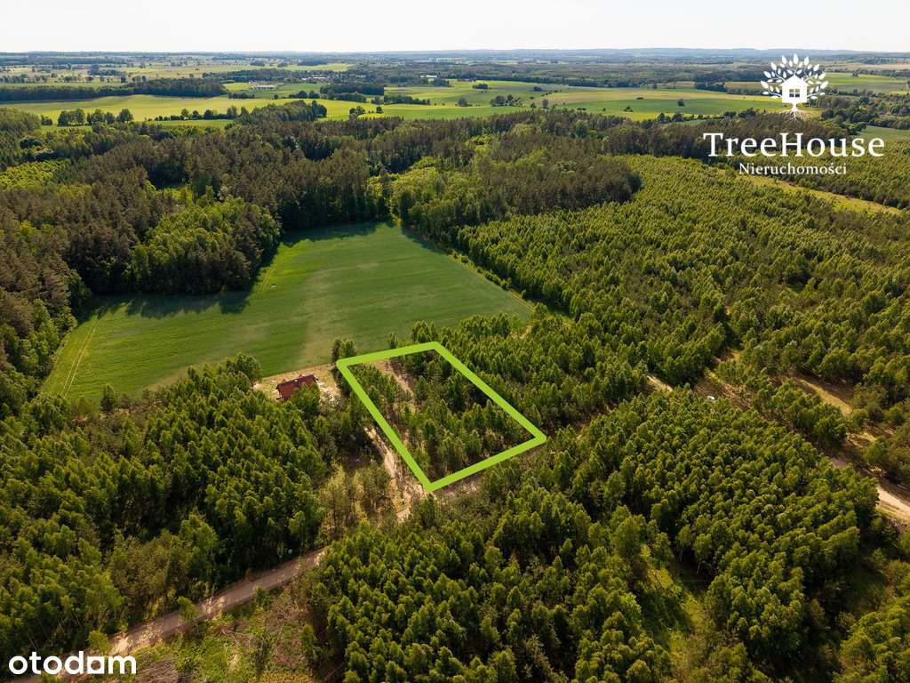 Mazury gotowy projekt las jezioro siedlisko-1