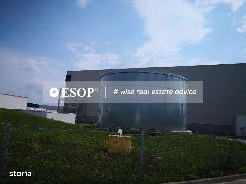 Logicor Mogosoaia - Hale / Spatii Depozitare / Logistice, 0% comision - Imagine principală: 5/6