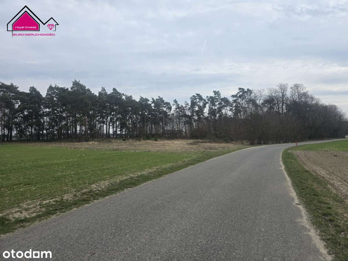 Działka z własnym lasem blisko centrum Konina-1