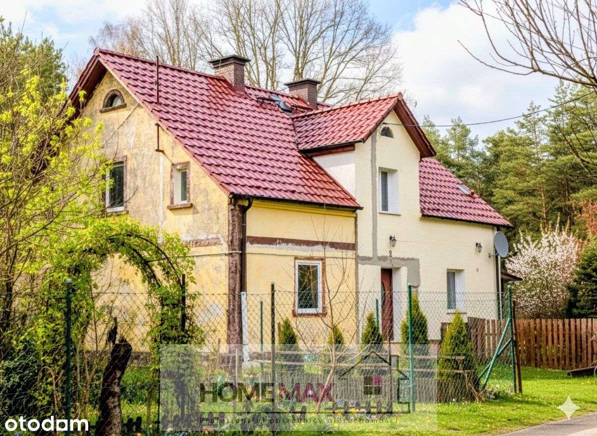 Dom pod lasem w cenie kawalerki-1