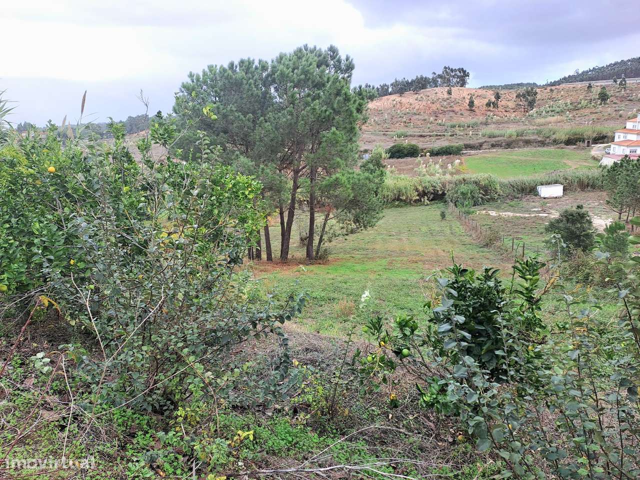 Moradia com 4080 m² para Remodelação, Sarge - Torres Vedras-15