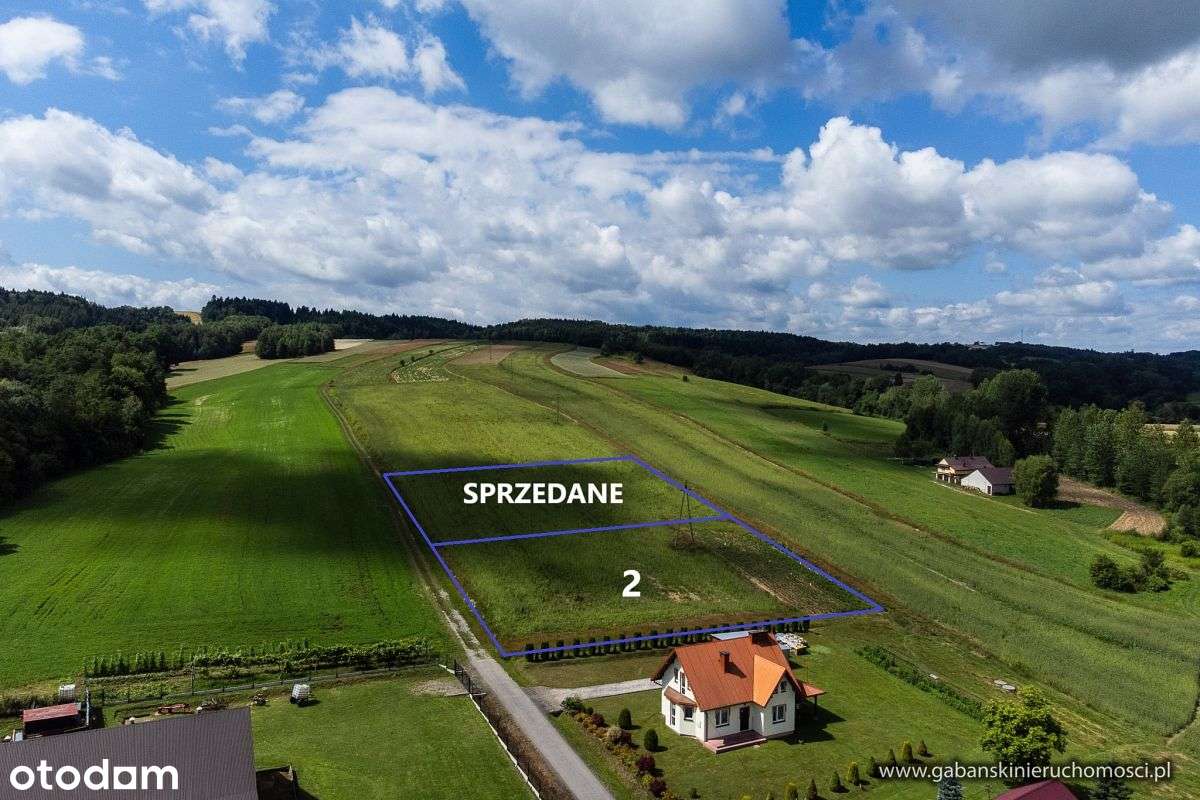 DZIAŁKA BUDOWLANA 27 AR W OLSZYNACH gm. RZEPIENNIK - Pełny obrazek: 2/12