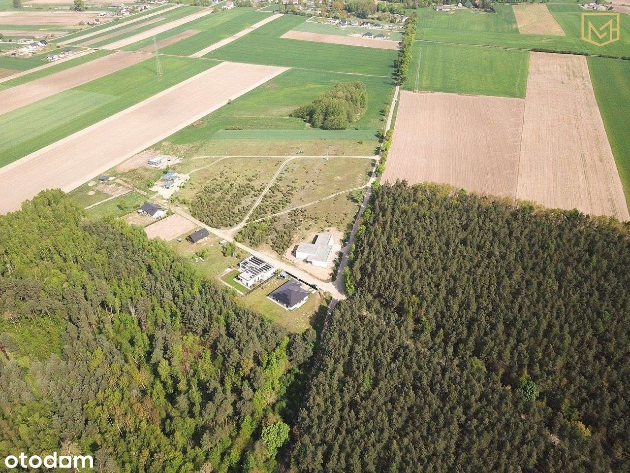 Działka budowlana Wz | 1187 m² | Sadowie | Media - Pełny obrazek: 5/5