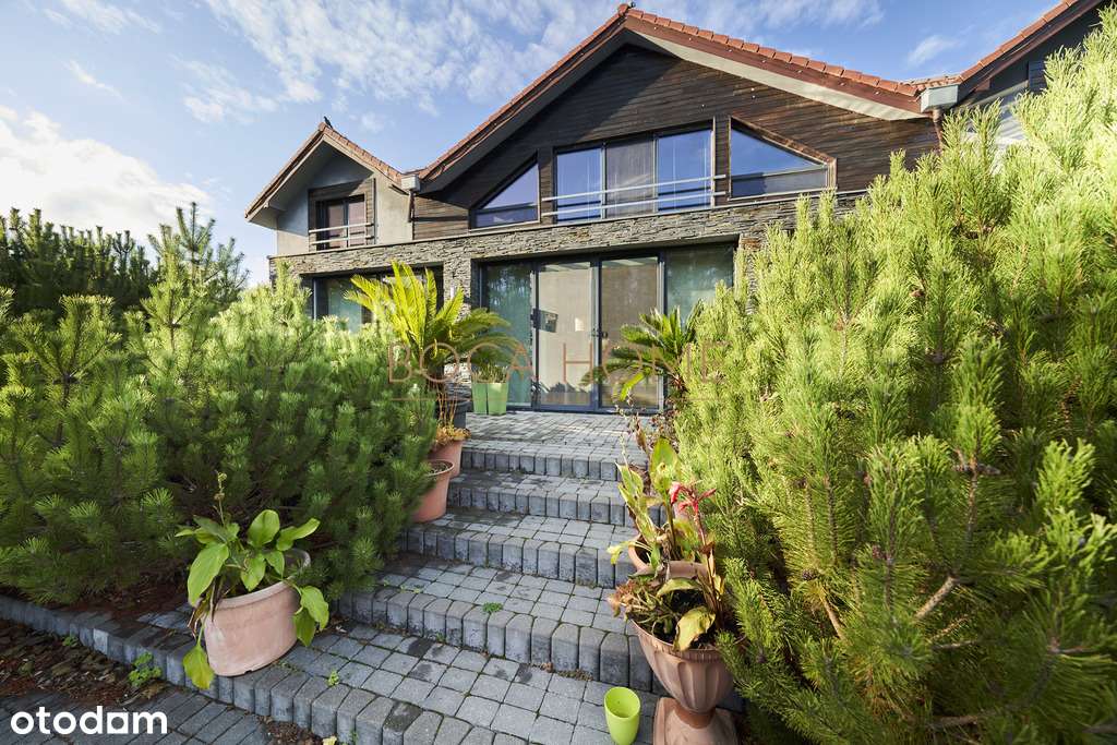 Obiekt na Mazurach z linią brzegową jeziora Roś-14