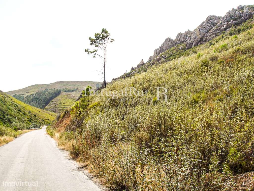Terreno com nascente de águas naturais - Grande imagem: 5/15