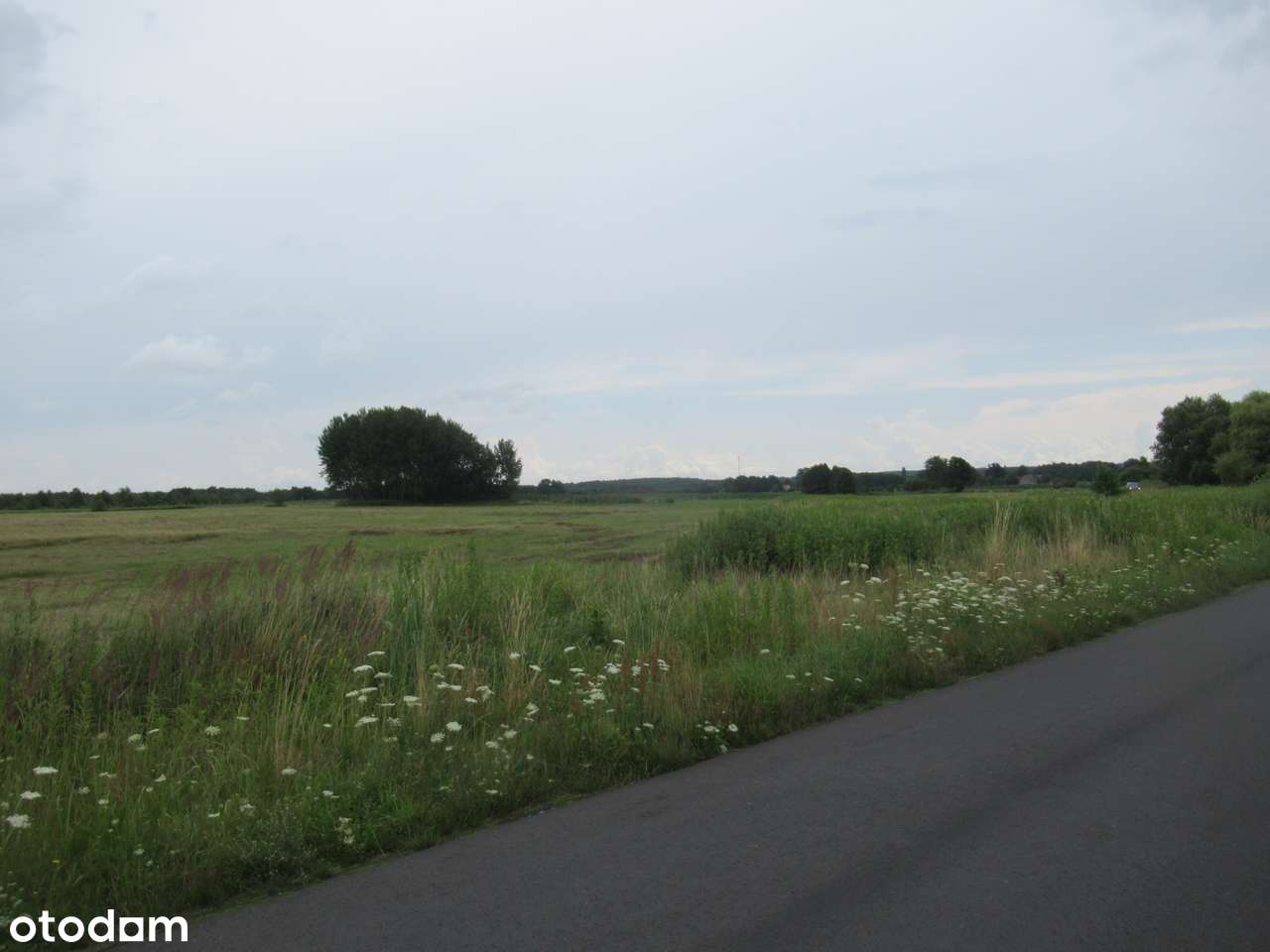 Twoja działka pod Wrocławiem – Złotów, gmina Zawonia - Pełny obrazek: 5/12