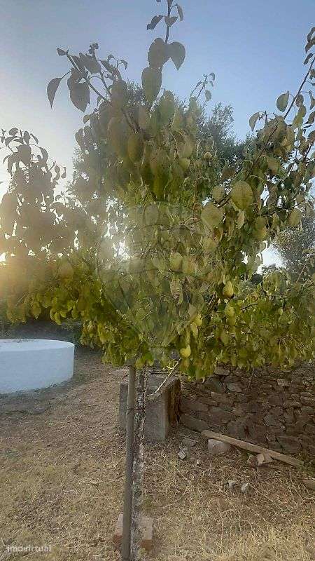 Moradia T2 para venda-28