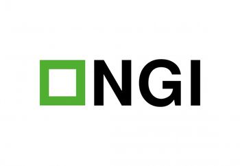 NGI Nieruchomości Grunty Inwestycje Logo