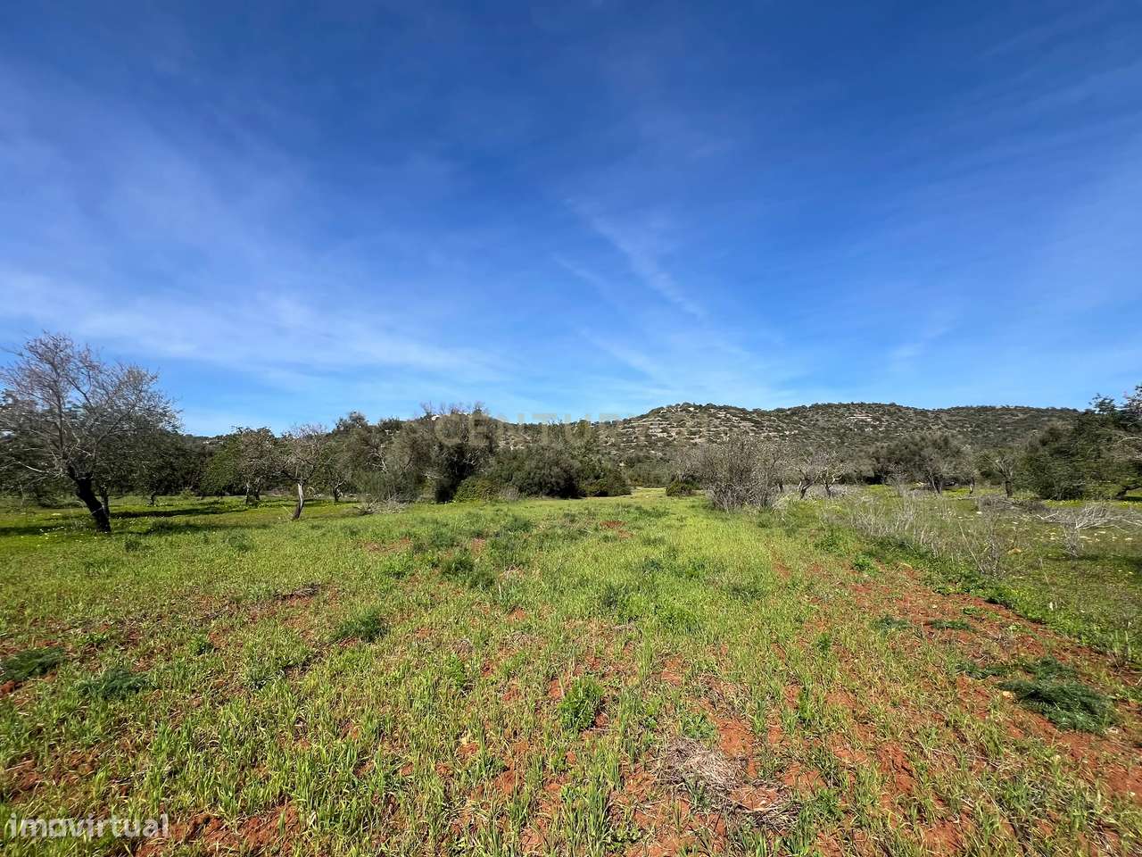 Terreno rústico com 7.360 m2, a 4 km de Paderne - Grande imagem: 3/9