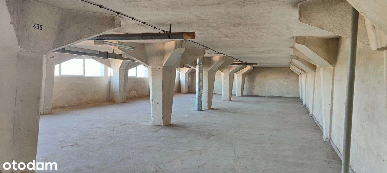 BEZOŚREDNIO 100-700 m2 Górczyn, Grunwald - Pełny obrazek: 2/2