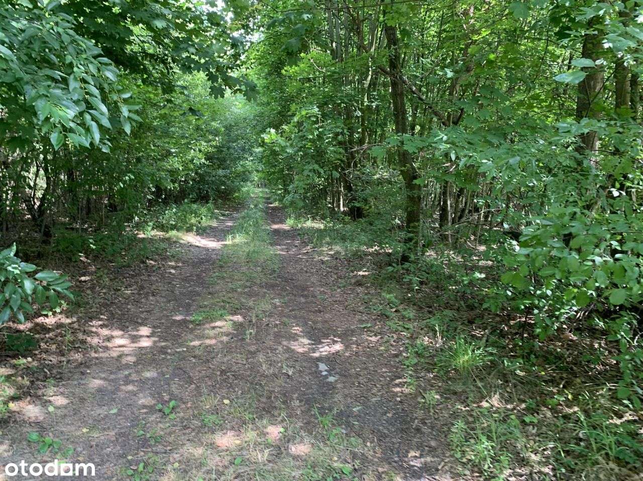 działka Albertów pow Turek woj wlkp - Pełny obrazek: 4/10