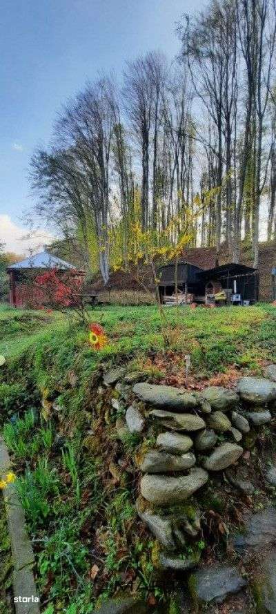 Casa de vacanta pe valea Avrigului - Imagine principală: 4/19