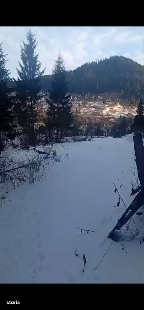 Teren langa padure 8179 mp , cu izvoare de munte-0