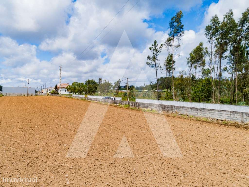 Terreno plano para construção - Junto acessos A29 e Santa Maria da ... - Grande imagem: 4/27