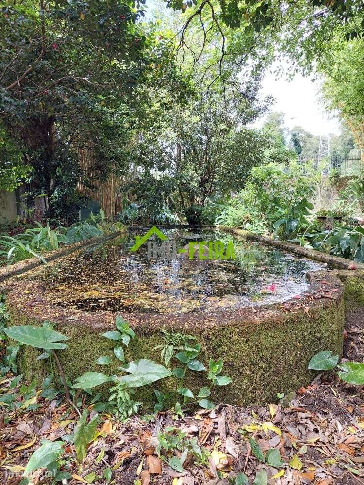 Quinta T6, São João da Madeira-37