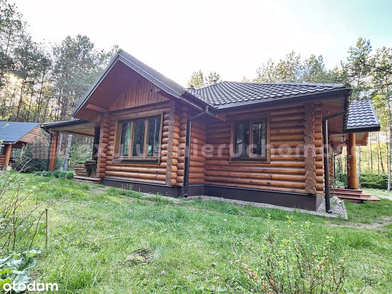 Atrakcyjna cena - Dom + Działka 1ha - Pełny obrazek: 5/20