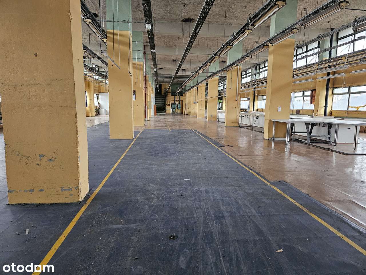 lokal magazynowo produkcyjny - Pełny obrazek: 5/11