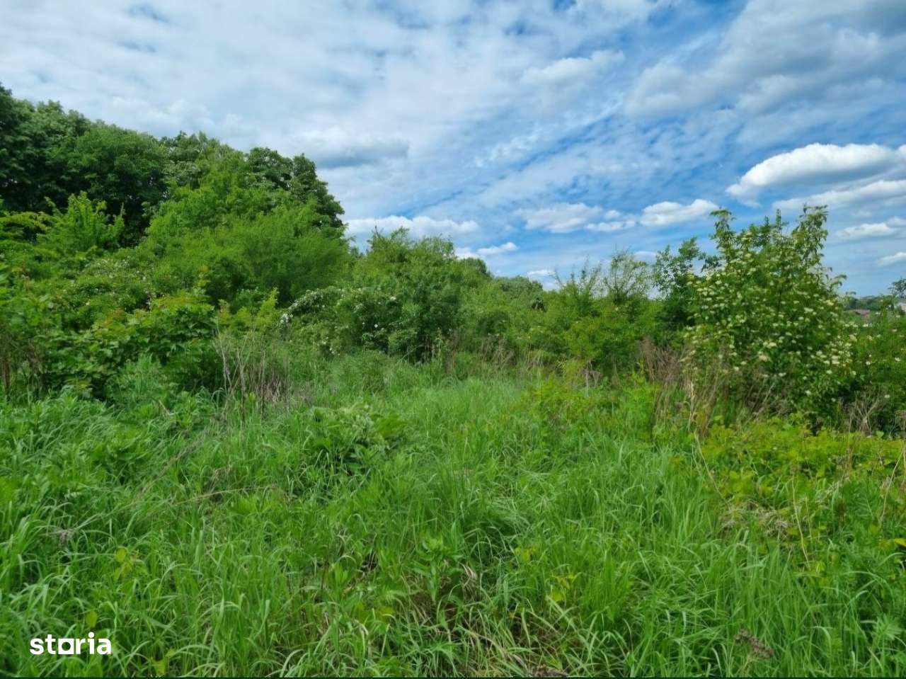 PF teren în zona Bucium 2116 mp, vedere superbă, cu padurea in spate - Imagine principală: 4/5