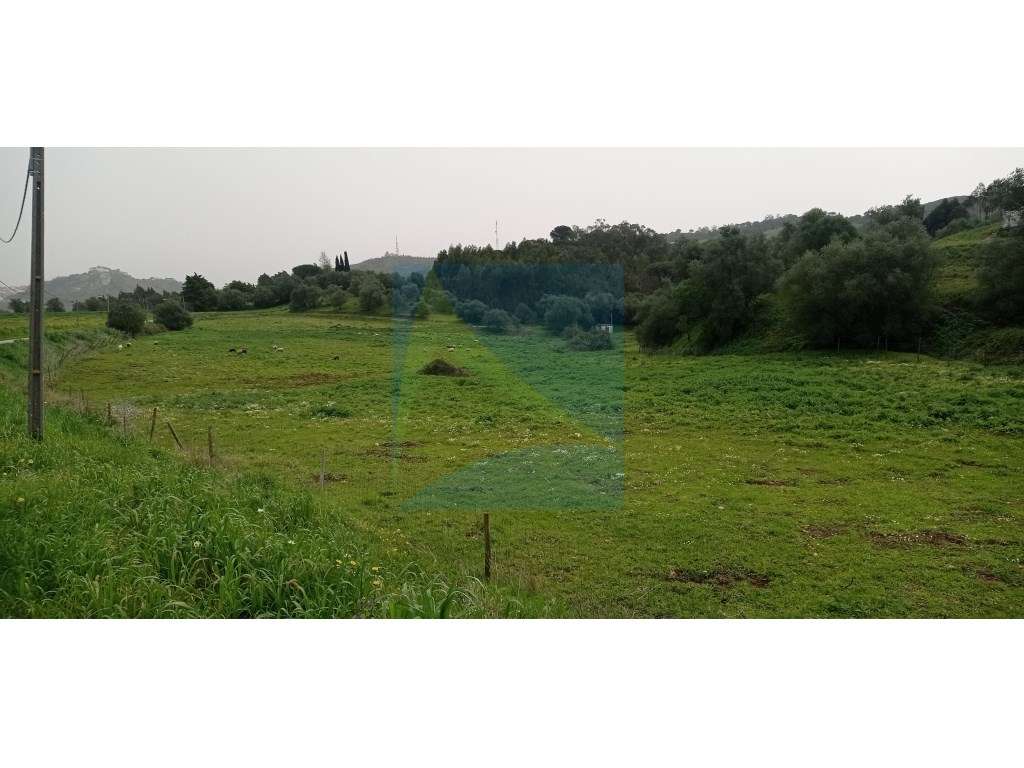 Herdade em Plena Serra da Arrábida 340.000 m2-5
