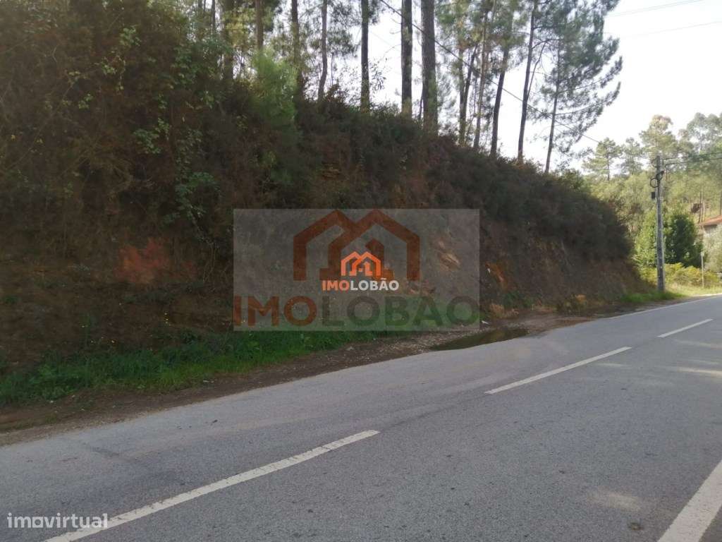 TERRENO - CANEDO (MOSTEIRÔ) - Grande imagem: 4/4