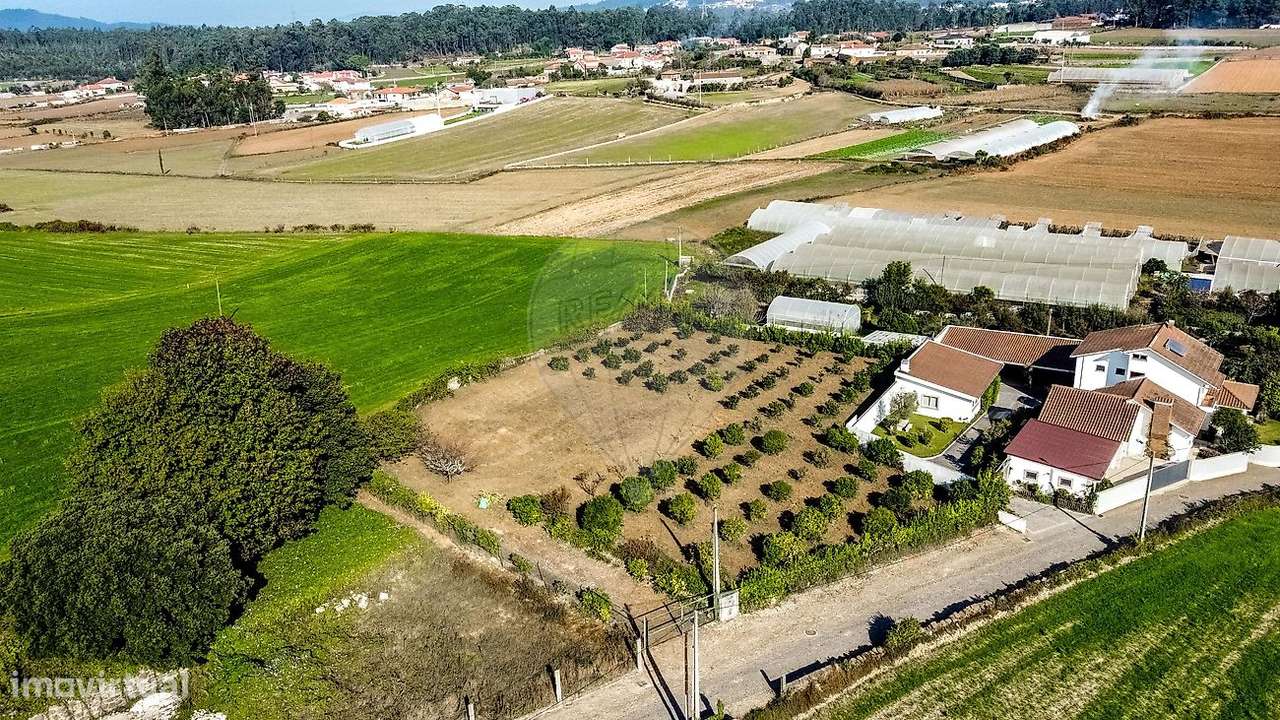 Terreno  para venda - Grande imagem: 4/11