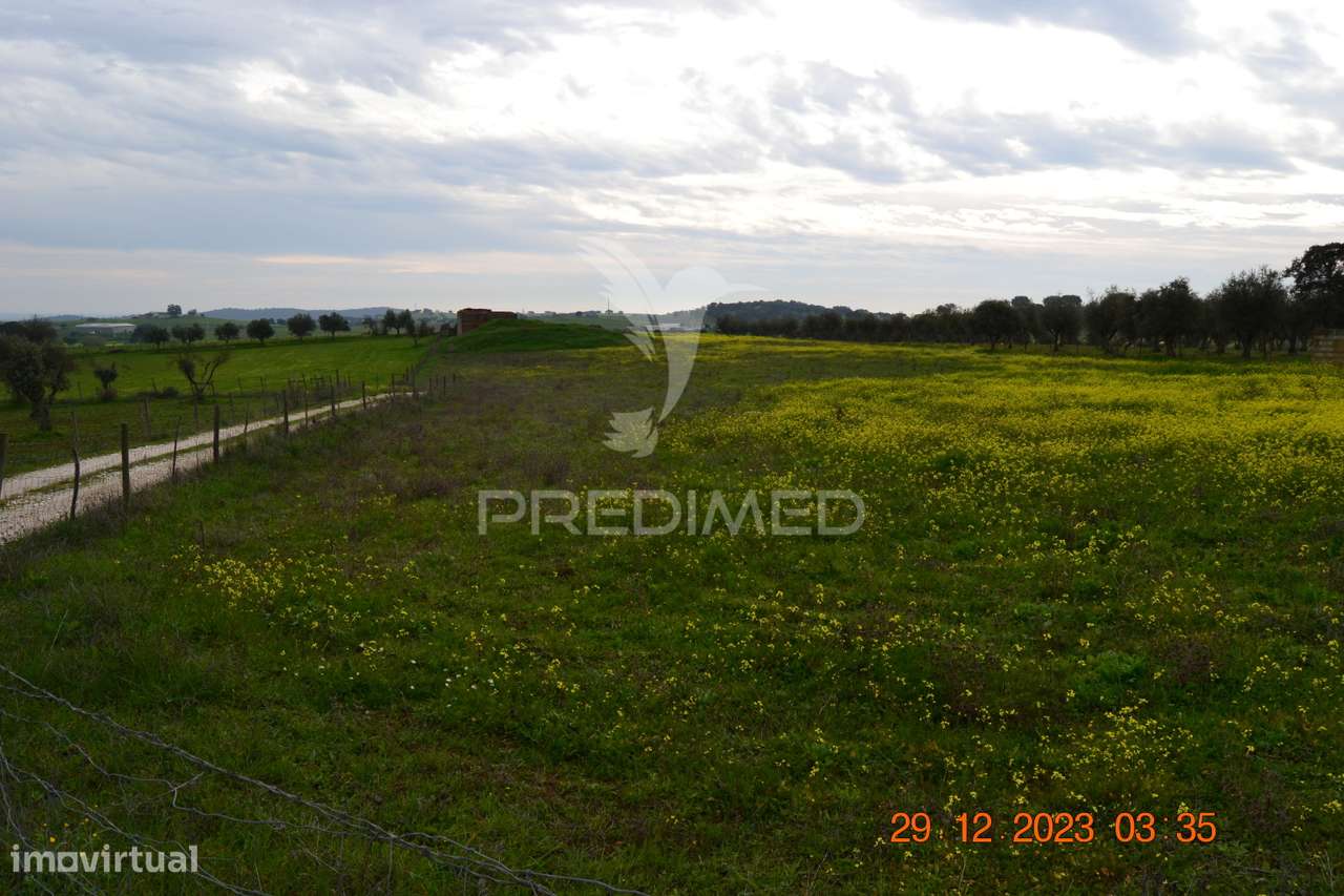 Terreno Rustico - Grande imagem: 5/20