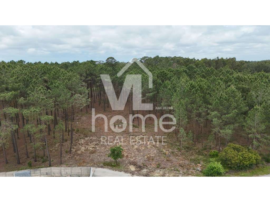 Terreno com Potencial para Moradias - Natureza e Conveniência de Mã...-8