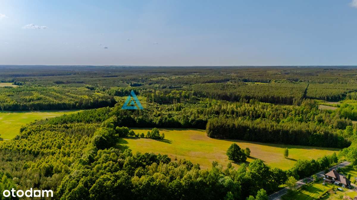 Piękna działka w pobliżu Bytowa z wydanymi WZ - Pełny obrazek: 4/20