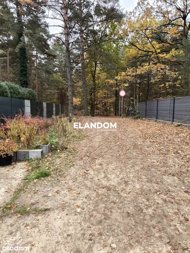 Działka w otulinie lasu - Stara Miłosna - Pełny obrazek: 5/6