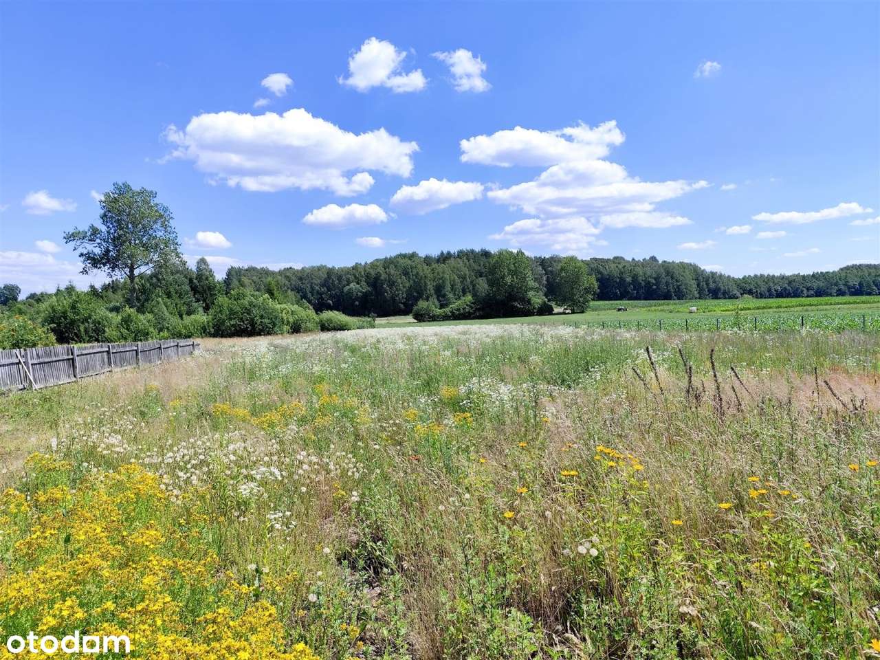 Sliczne działki 3000/5000m2 10km do Białegostoku-7