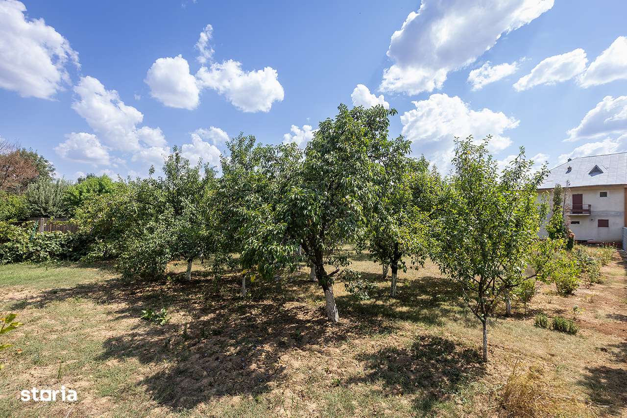 Locație rară: casă între pădure și apă,pentru un proiect de suflet-5