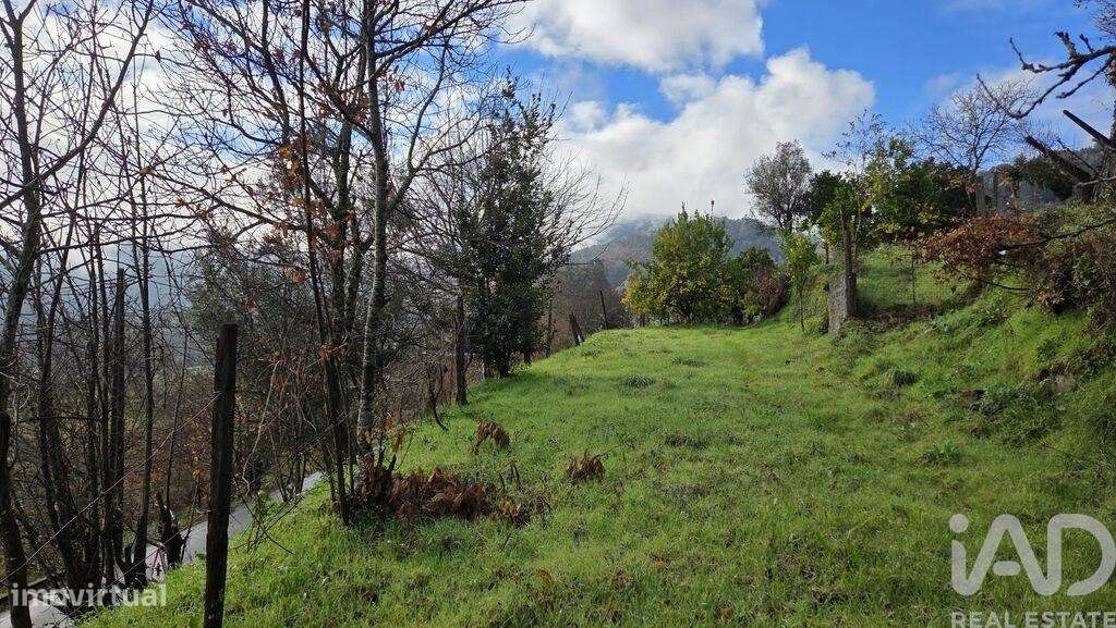 Andar de moradia T4 em Ponte da Barca, Vila Nova de Muía e Paço Vedro - Grande imagem: 5/20