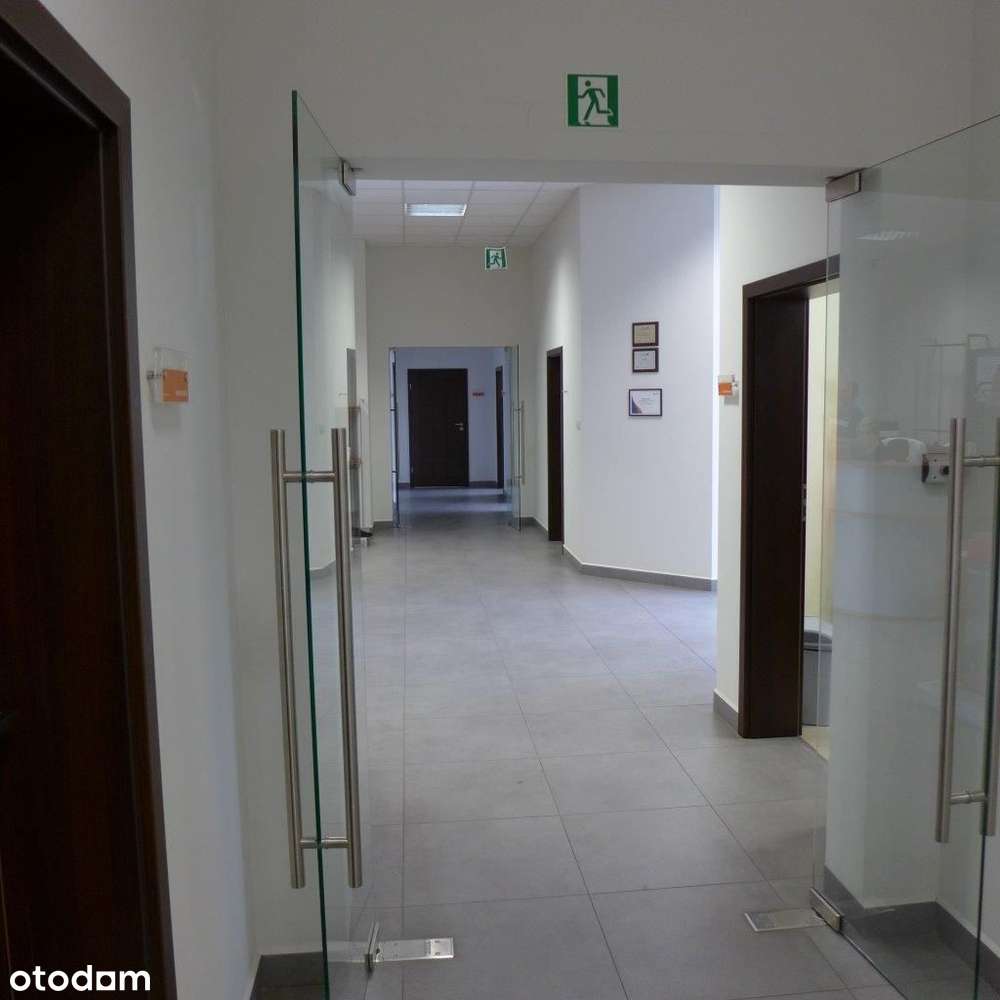 Hala - Magazyn 5200m2, Zielona Góra, Lubuskie - Pełny obrazek: 5/11