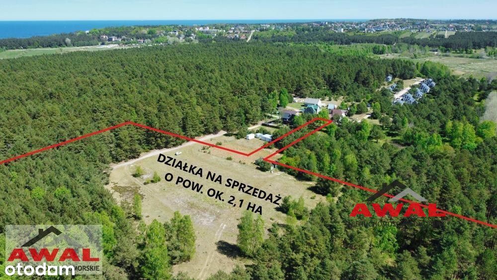 Oferta dla inwestora w Ostrowie w sosnowym lesie