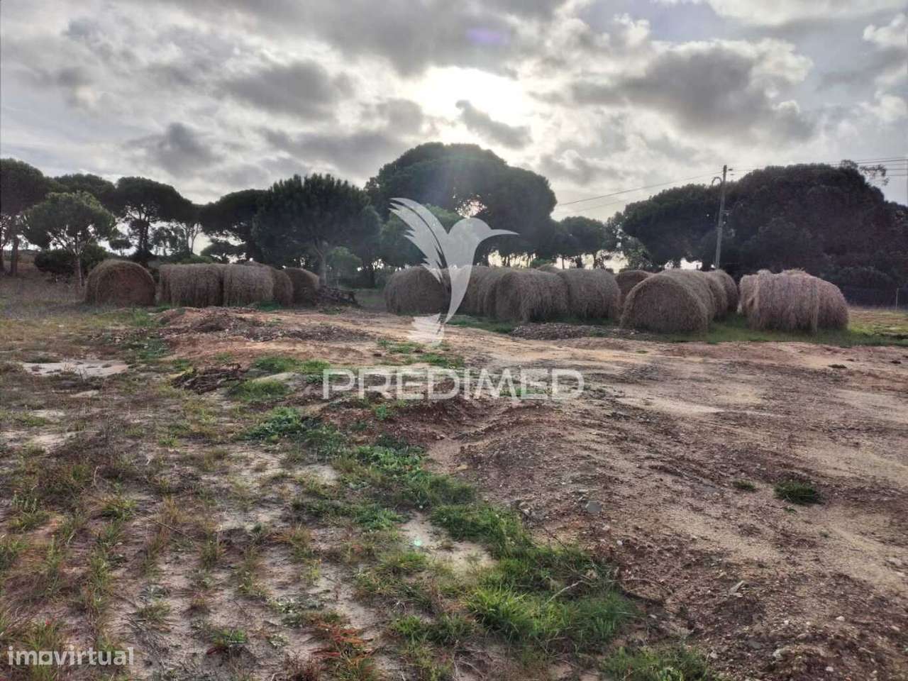 Terreno Rústico com 33.145m2 em Melides. - Grande imagem: 5/13