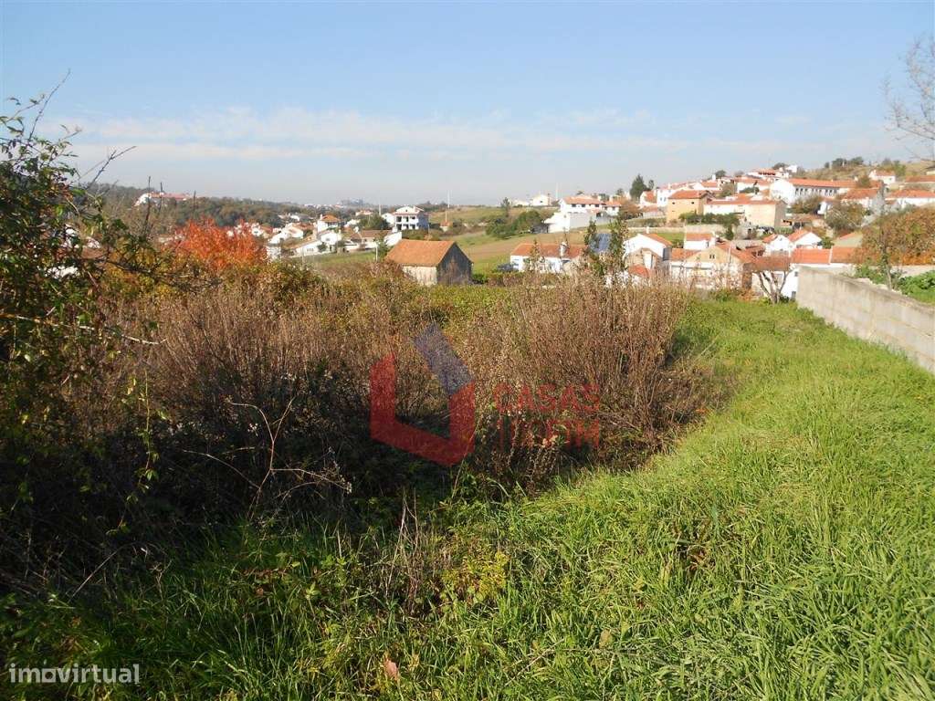 - BAIXA DE PREÇO - Terreno de cultura com 4 artigos com 1110m2 no t... - Grande imagem: 2/4