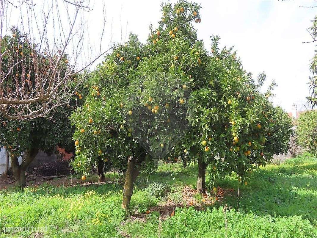 Moradia T2 para venda-35