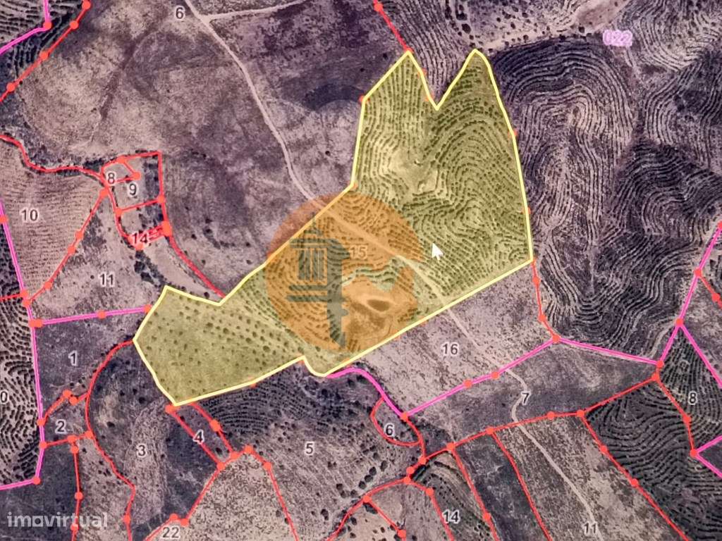 TERRENO COM 74.680 M2 - COM LAGO - POSSIBILIDADE DE CONSTRUÇÃO - TU... - Grande imagem: 2/40